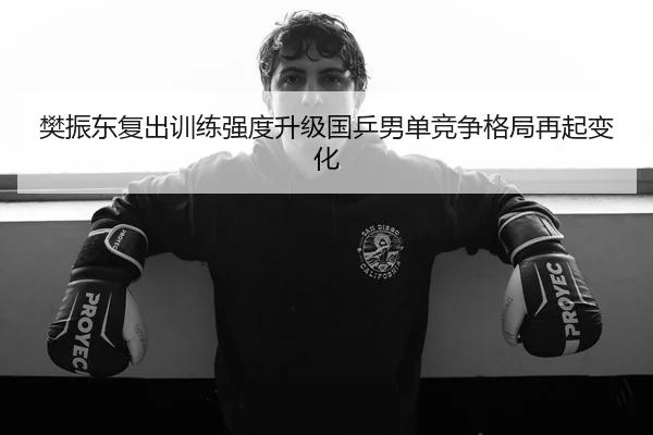 樊振东复出训练强度升级国乒男单竞争格局再起变化